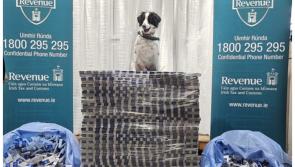 Revenue detector dog smokes out almost &euro;7m worth of illegal cigarettes at Irish port