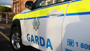 Gardaí investigating after 'sum of cash' taken from vehicle 