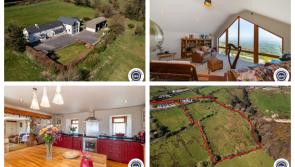 PICTURES: Striking Laois home with 10 acres of private woodland 
