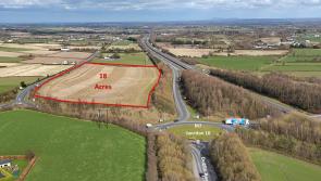 Prime development site on Portlaoise's old Dublin road goes up for sale in Laois