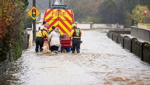 Laois flood relief scheme 'needs to move at pace' 
