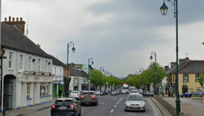 Plans for 51 houses near billionaire's Laois mansion appealed