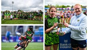 Laois/Kildare rugby club secure Leinster League and Cup double
