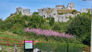 No bins to form part of the Rock of Dunamaise tourism upgrade
