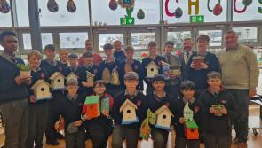 PICTURES: Laois hotel joins up with Portlaoise school for sustainability project