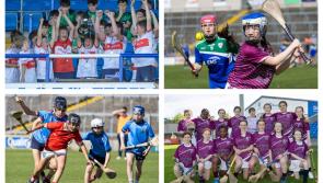 PICTURES: Smiles all round as young Laois GAA stars compete in Cumann na mBunscoll