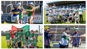 PICTURES: Young Laois GAA stars all set for final day of Cumann na MBunscol