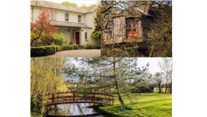 PICTURES: This 'rare gem' in 'fairytale setting' with added bonus on sale for over €1.3M