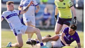 Second-half surge sees Wicklow down Laois in Tailteann Cup 