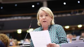 Laois councillor welcomes post-Brexit EU-UK reset