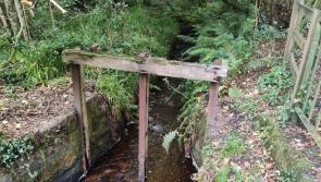 Laois heritage project secures over €20,000 in funding