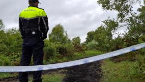 Bog boreen leads to Fiona Pender search site in Garda murder investigation