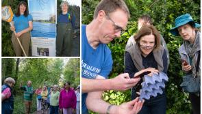 Blooming biodiversity enjoyed in Laois
