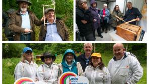 PICTURES: Great buzz in Laois for World Bee Day 
