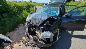 Three arrested in Laois after fleeing scene of crash 
