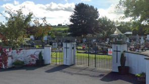 'Trees in graveyards are bad news' Laois Councillor argues