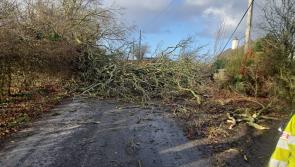 Less than half of Laois claims after Storm Éowyn awarded 