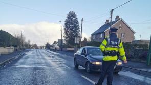 Laois Offaly gardaí seize hundreds of L-plate cars