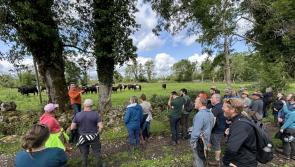 Laois farm hosting Ireland's first Farming For Nature summer festival