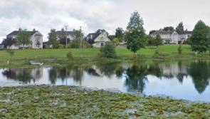 'Huge money' for paths and lifebuoys for angling pond in Laois town