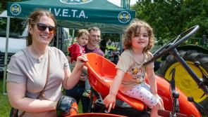 IN PICTURES: Sunshine and aerial displays at Laois Family Day  