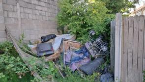 'Rat infested' rubbish in Portlaoise estate to cost €40,000 to clean up