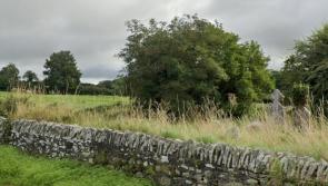 Laois community invited to first cemetery  mass in 100 years 
