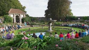 Exciting lineup for Laois' Twin Trees Festival