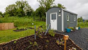 Laois village to unveil new bog oak sculpture 

