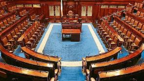 Laois women left in limbo following endometriosis debate in Dáil