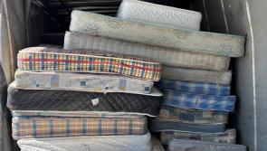 Laois amnesty collects incredible number of old mattresses