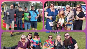 PICTURES: Smiles and sunshine on day two of Laois Forest Fest!