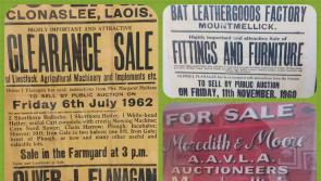 Historic Laois property auction posters on exhibit for Heritage Week