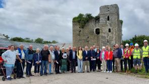 PICTURES: Rural community save 'Bunratty of Laois' from falling down