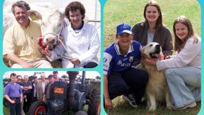 In Pictures Memory Lane: Super Laois day at Ossory Show