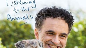 Laois Supervet confirms UK practice 'dramatically shrunk' with some staff let go
