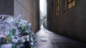 Solutions needed to combat illegal dumping across County Laois