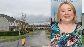 Laois councillor pleads for council to take over her housing estate