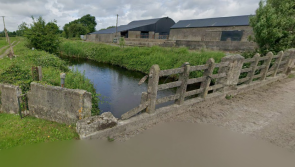 'You can't get work done': 14 year delay to repair of collapsing bridge in Laois
