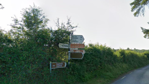 Plan to extract 800,000 tonnes at Laois mountain quarry appealed