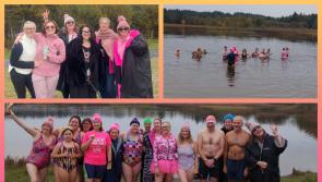 PICTURES: Hardy Laois swimmers jump in Portarlington lake for Swim in Pink