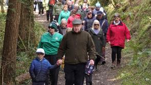New picnic furniture sought for Electric Picnic town's woods