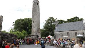 Laois council will upgrade the fence if it has the money