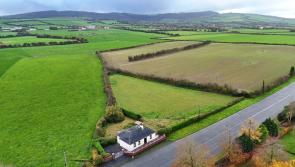 Laois cottage on the market for just &euro;100,000 
