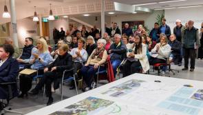 Plan to revitalise Laois town includes trail head to Portlaoise and Slieve Blooms