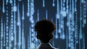 Laois councillor's 'fear' of children getting STEM technology training