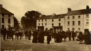Upcoming seminar explores fascinating heritage of Laois