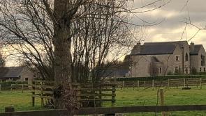 Bankrupted Laois Offaly former politician to convert stables into tourism accommodation