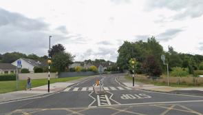 'Jagged stumps'  a danger to Portlaoise schoolchildren