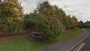 Flood protection in Laois housing estate needs Office of Public Works funding